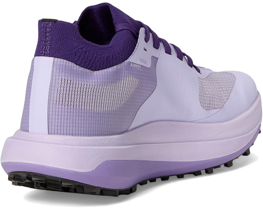 Arc'teryx Sylan Pro - Back View