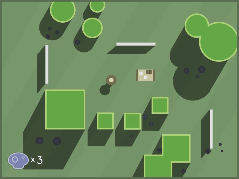 Collect mushrooms while avoiding the sun
